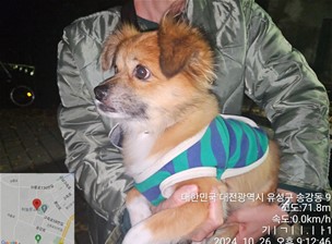대전동물보호센터_430367202400789